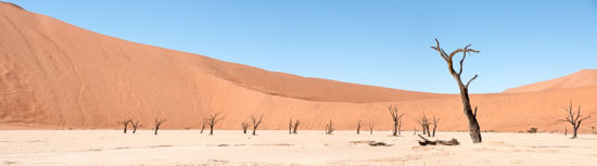 Deadvlei - Sossusvlei (Namibia) Deadvlei - Sossusvlei (Namibia)