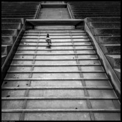 Karlsruhe - n02 / 2015 Karlsruhe - n02 / 2015