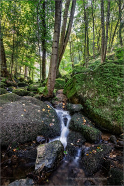 Wasserfall im Wald