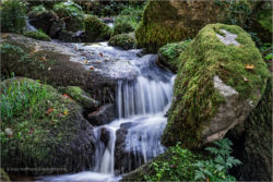 Wasserfall (Gaishöllschlucht)