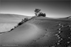Maspalomas (Gran Canaria)