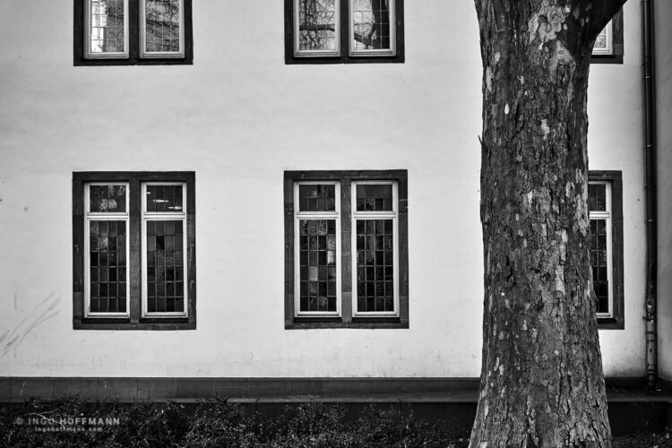 Fassade mit Fenster und einem Baum | Referenznummer 20170315_A7_7560 Cityscape Frankfurt