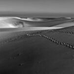 Dünen von Maspalomas, Gran Canaria | Referenznummer 20160924_6247bw