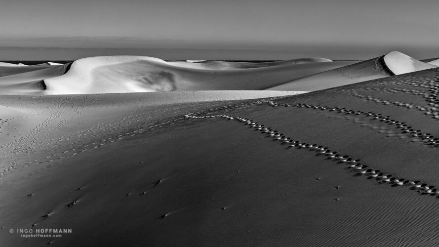 Dünen von Maspalomas, Gran Canaria | Referenznummer 20160924_6247bw