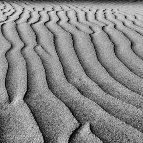Dünen von Maspalomas, Gran Canaria | Referenznummer 20160924_6292