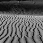 Dünen von Maspalomas, Gran Canaria | Referenznummer 20160924_6302