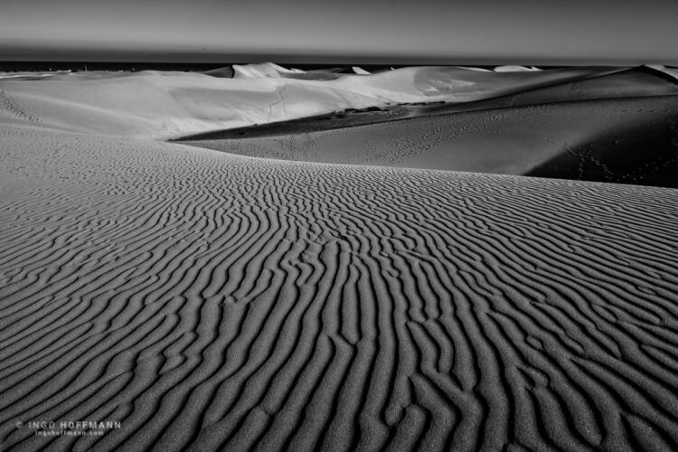 Dünen von Maspalomas, Gran Canaria | Referenznummer 20160924_6309