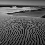 Dünen von Maspalomas, Gran Canaria | Referenznummer 20160924_6309