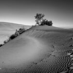Dünen von Maspalomas, Gran Canaria | Referenznummer 20160924_6328