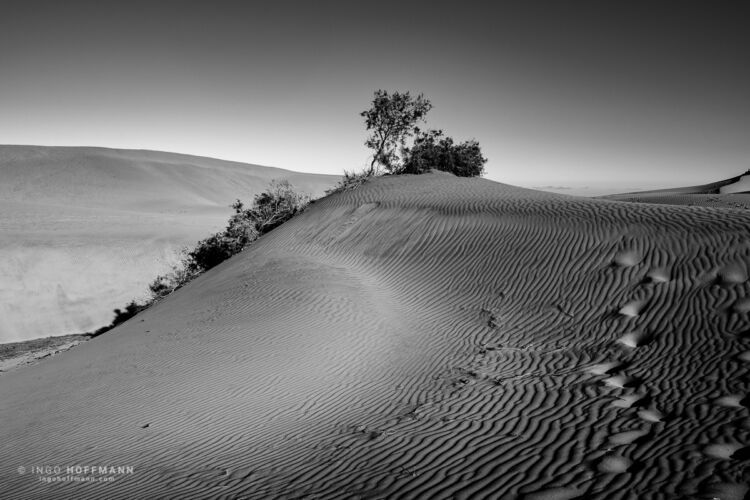 Dünen von Maspalomas, Gran Canaria | Referenznummer 20160924_6328