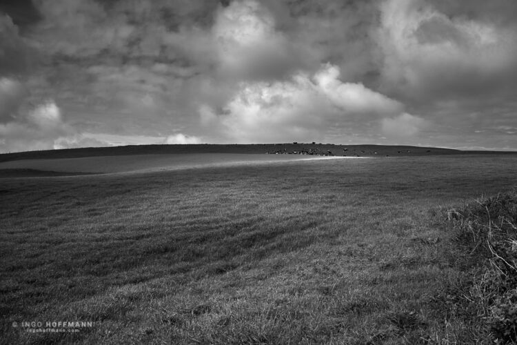 Corsewall Point, Schottland | Referenznummer 20170524_A7_Hoffmann_8711 Landschaft und Wolken