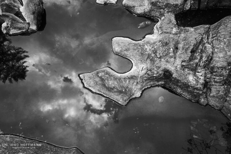 The Hermitage, Dunkeld, Schottland | Referenznummer 20170526_A7_9195 Spiegelung