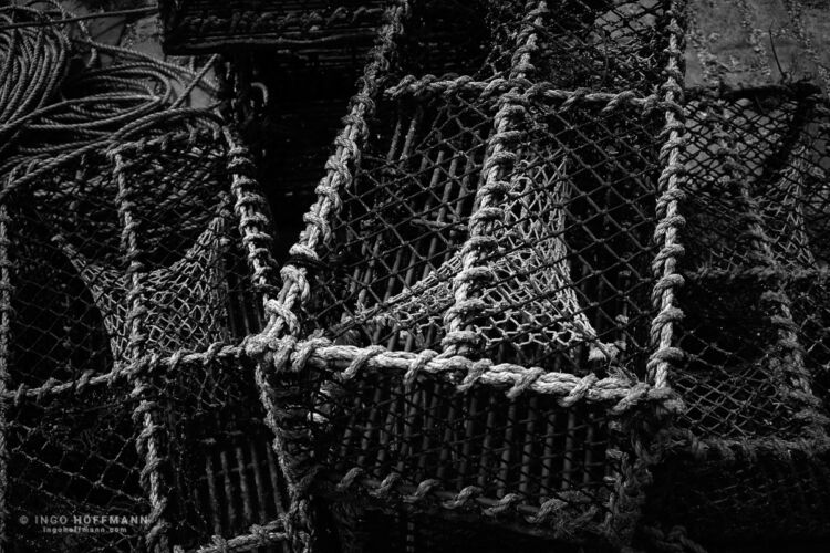 Arbroath, Schottland | Referenznummer 20170527_A7_9332 Am Hafen