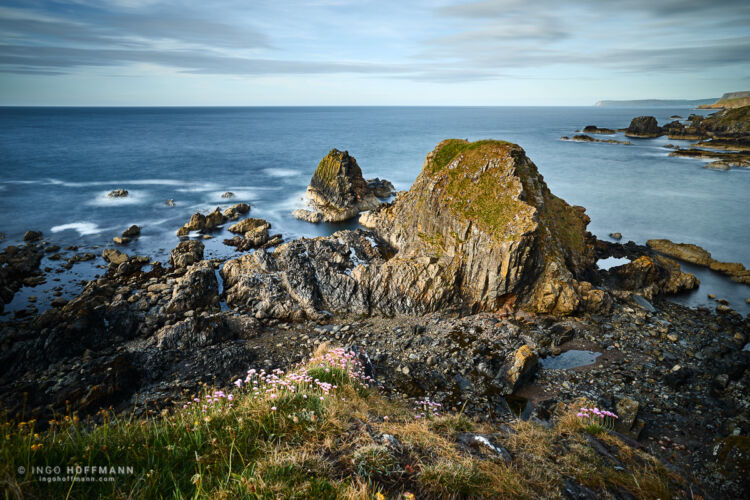 Macduff, Schottland | Referenznummer 20170528_A7_9580 Felskueste