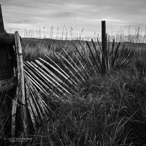 Inverallochy, Schottland | Referenznummer 20170529_A7_9701sw Zaun in den Duenen