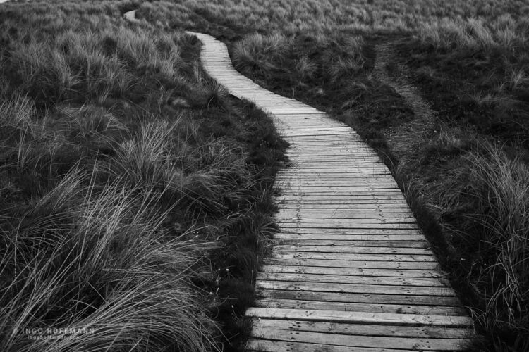 Inverallochy, Schottland | Referenznummer 20170529_A7_9706 Weg in den Duenen