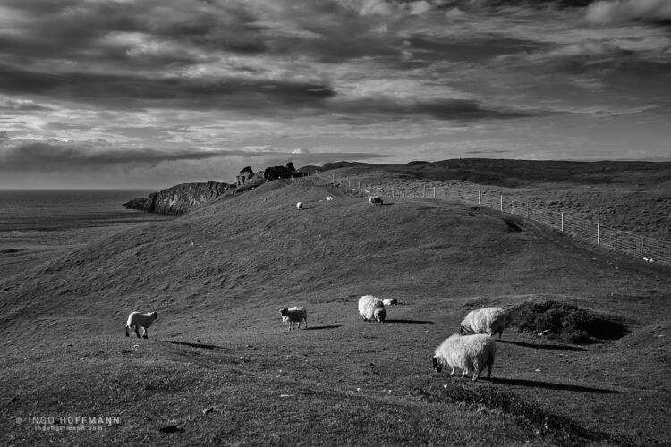 Skye, Schottland | Referenznummer 20170605_A7_0667_sw Duntulm Castle