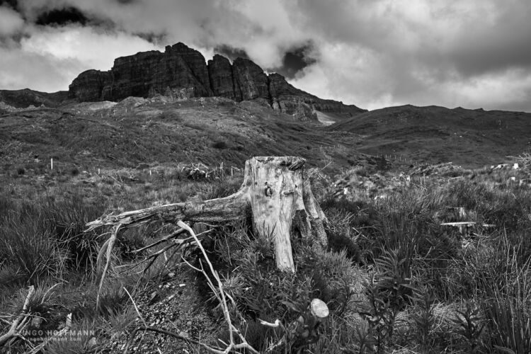 Skye, Schottland | Referenznummer 20170607_A7_Hoffmann_0762_C1_sw Old Man of Storr