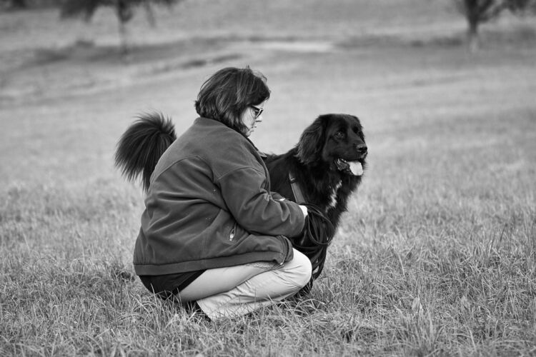 ,  | Referenznummer 20171012_A6300_IH_4385_C1_sw Princess