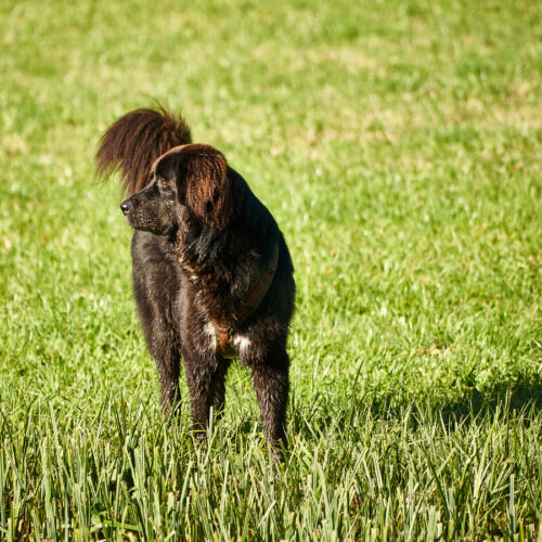 ,  | Referenznummer 20171014_A6300_IH_4578_C1 Princess