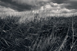 Wilhelmshaven, Niedersachsen | Referenznummer 20180826_A7_IH_3401_C1sw Jadebusen bei Cäciliengroden