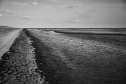 Wilhelmshaven, Niedersachsen | Referenznummer 20180831_A7_IH_3562_C1sw Ebbe am Jadebusen